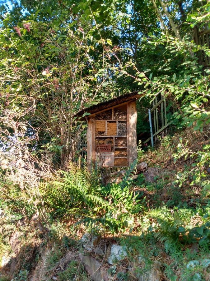 Natuerlich Kirchner Haus Katrin Villa Eisenach Eksteriør billede