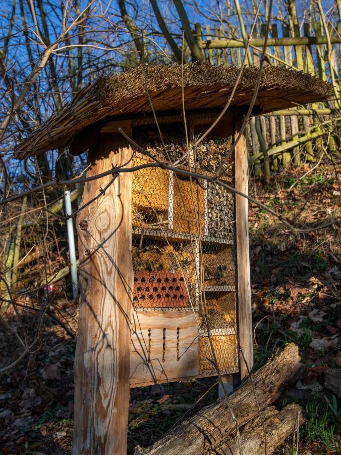 Natuerlich Kirchner Haus Katrin Villa Eisenach Eksteriør billede